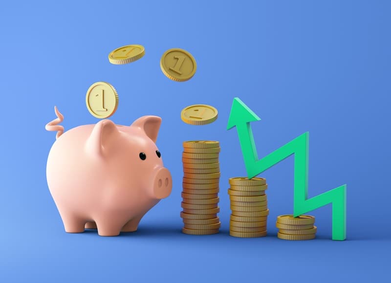 Organização Financeira — Moacyr Nelson Gasparini Contabilidade